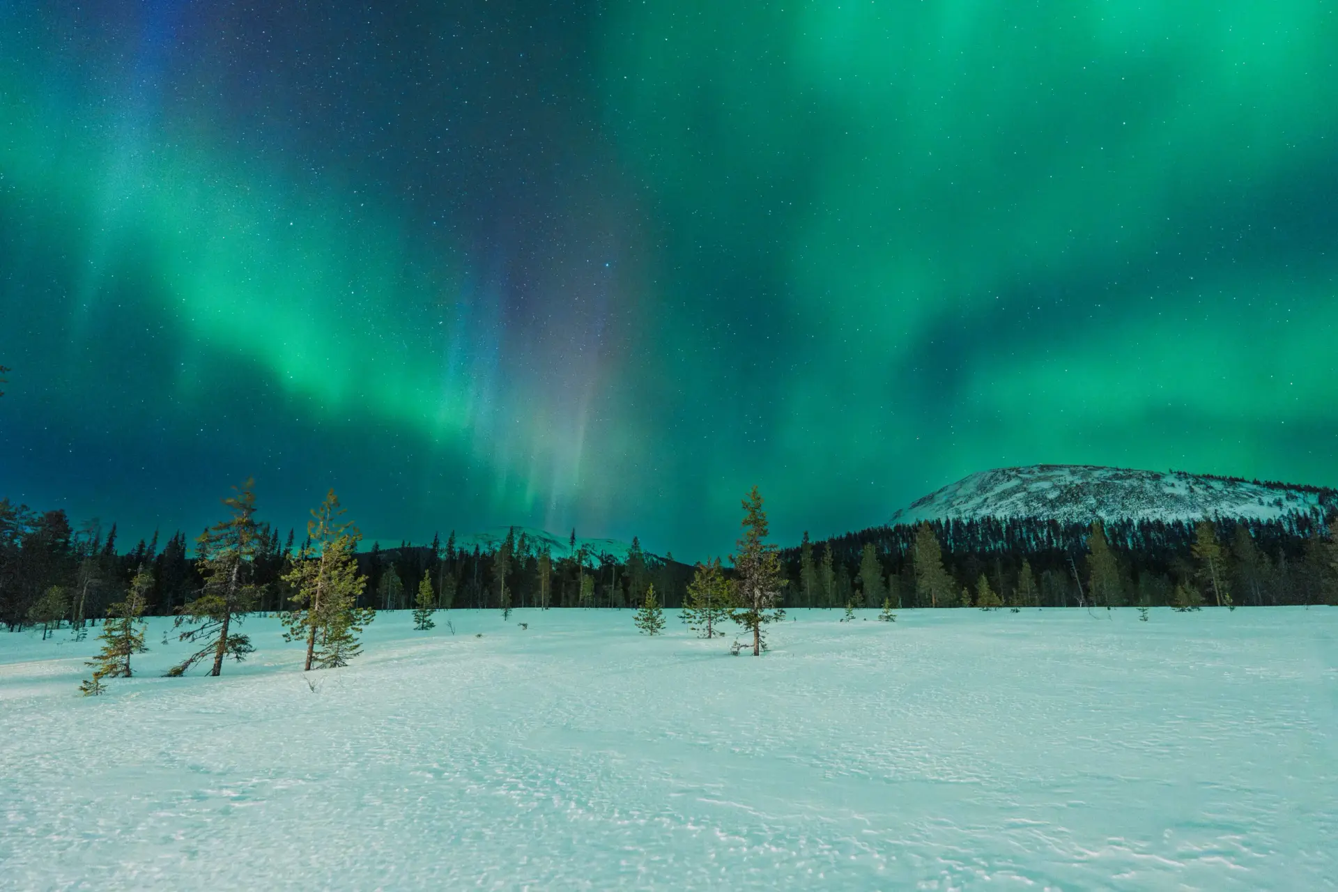 Northern Lights Tour on Snowmobiles