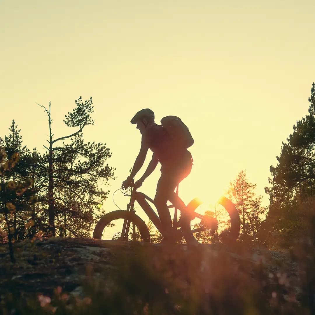 Electric Fatbike Rental – 24 Hours